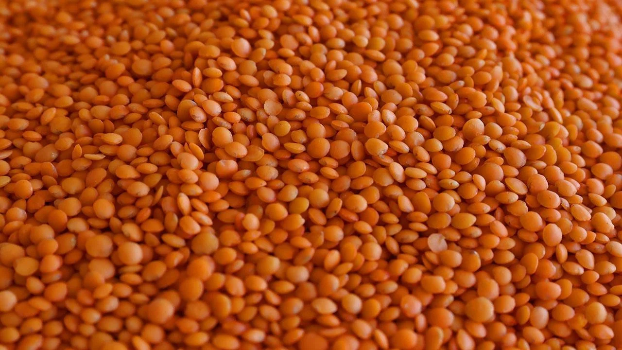 Mercimek fiyatı tartışmasında karakolluk oldular