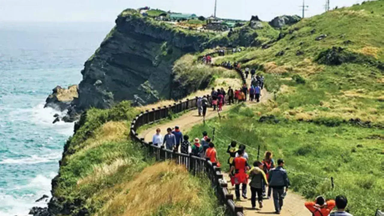 Vietnam'dan Jeju Adası'na giden turist kafilesinden 38 kişi kayboldu