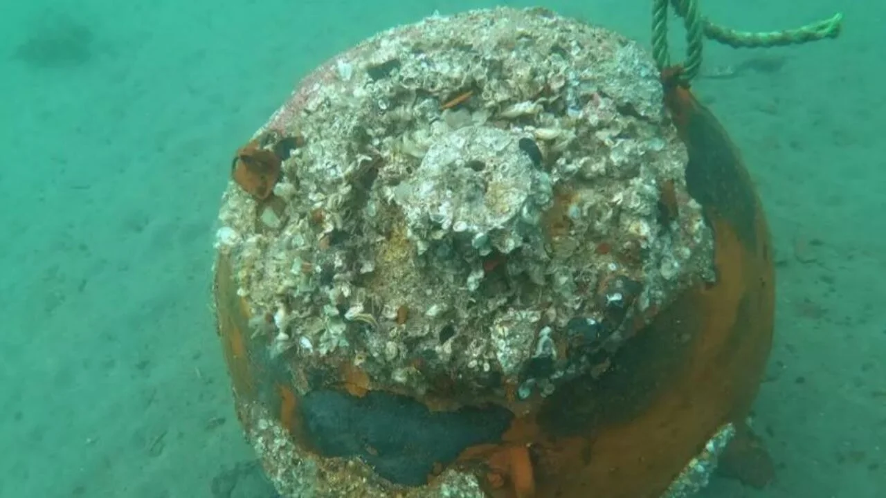 Ezine ilçesinde Çanakkale Savaşları'ndan kalan 110 yıllık deniz mayını imha edildi