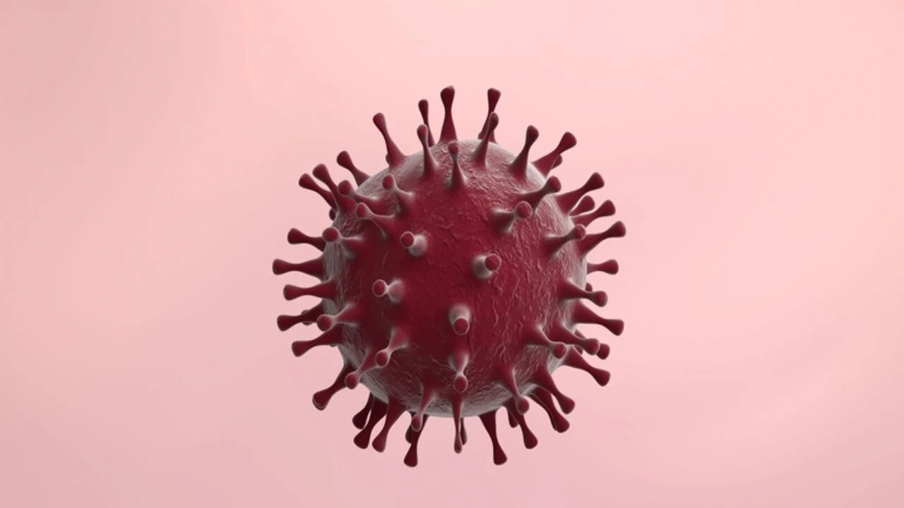 ABD'de pandemi alarmı: Yeni bir kapanma mı geliyor?