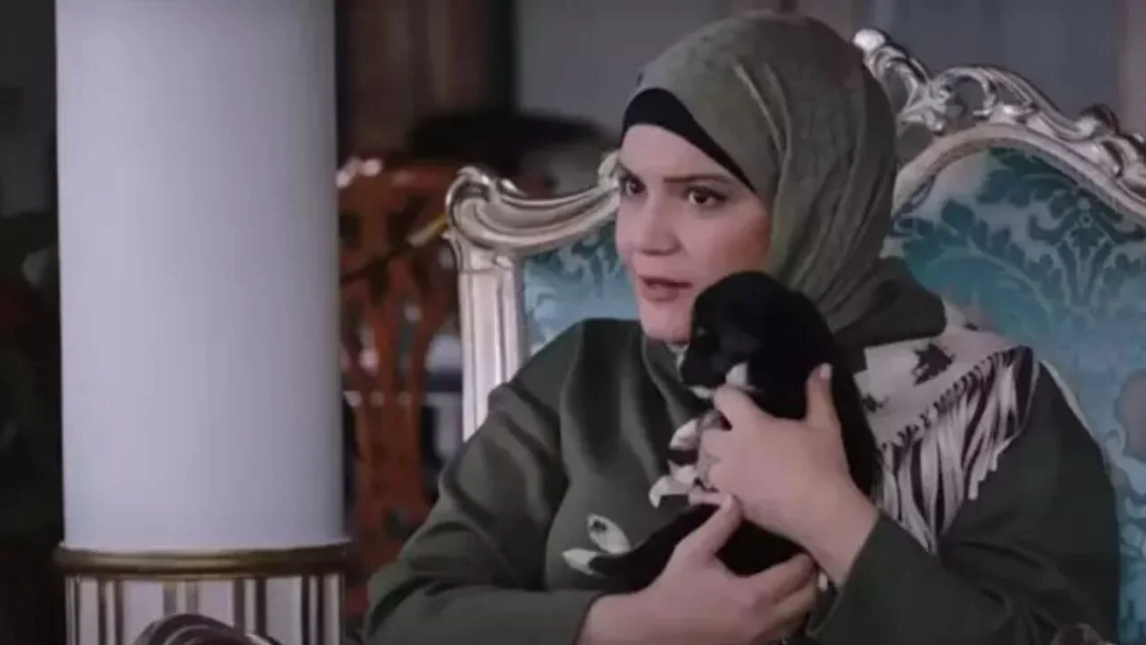 Kızılcık Şerbeti dizisindeki köpek sahnesi Sağlık Bakanlığı'ndan tepki aldı