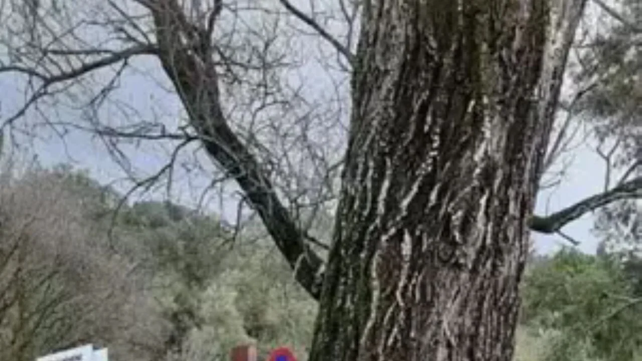 Miras kavgası gerçek babayı ortaya çıkardı! Katili tarafından öldürülmüş