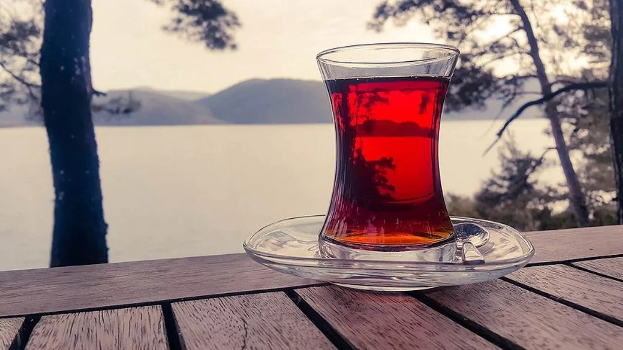 Prof. Dr. Yılmaz, şekersiz çayın faydalarını anlattı