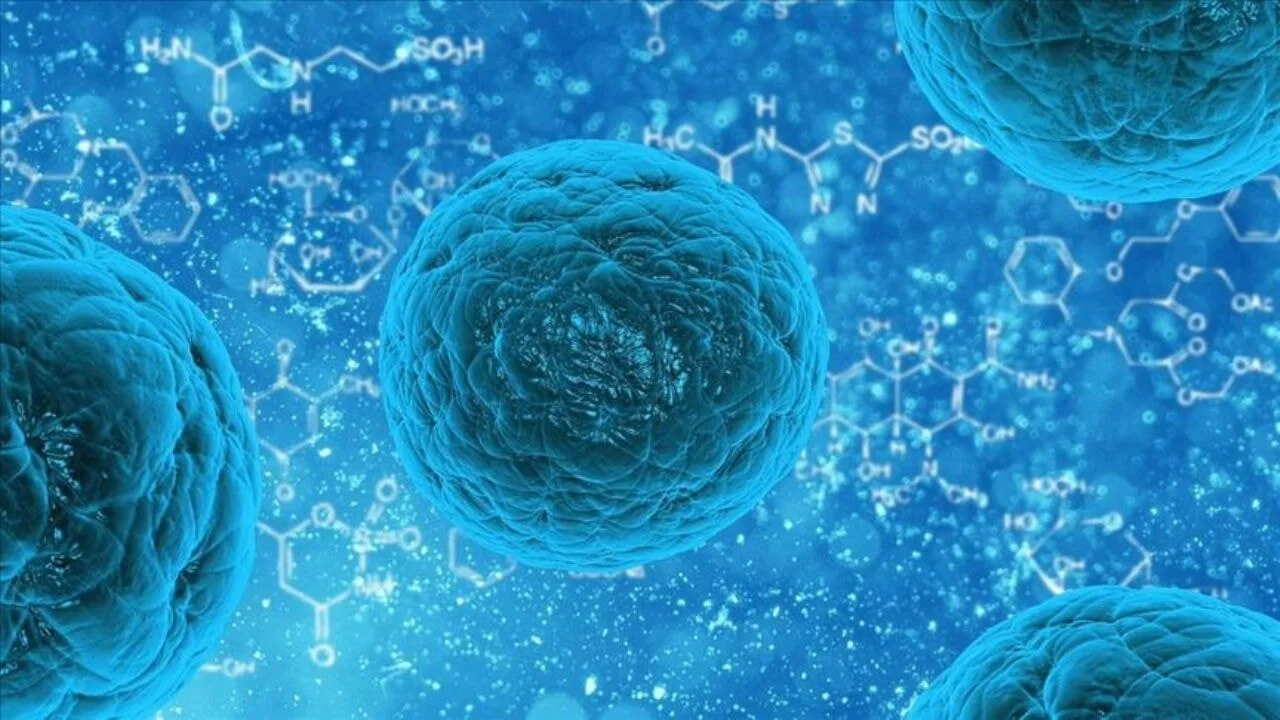 Aspirin, bazı kanser türlerini engelleyebilir