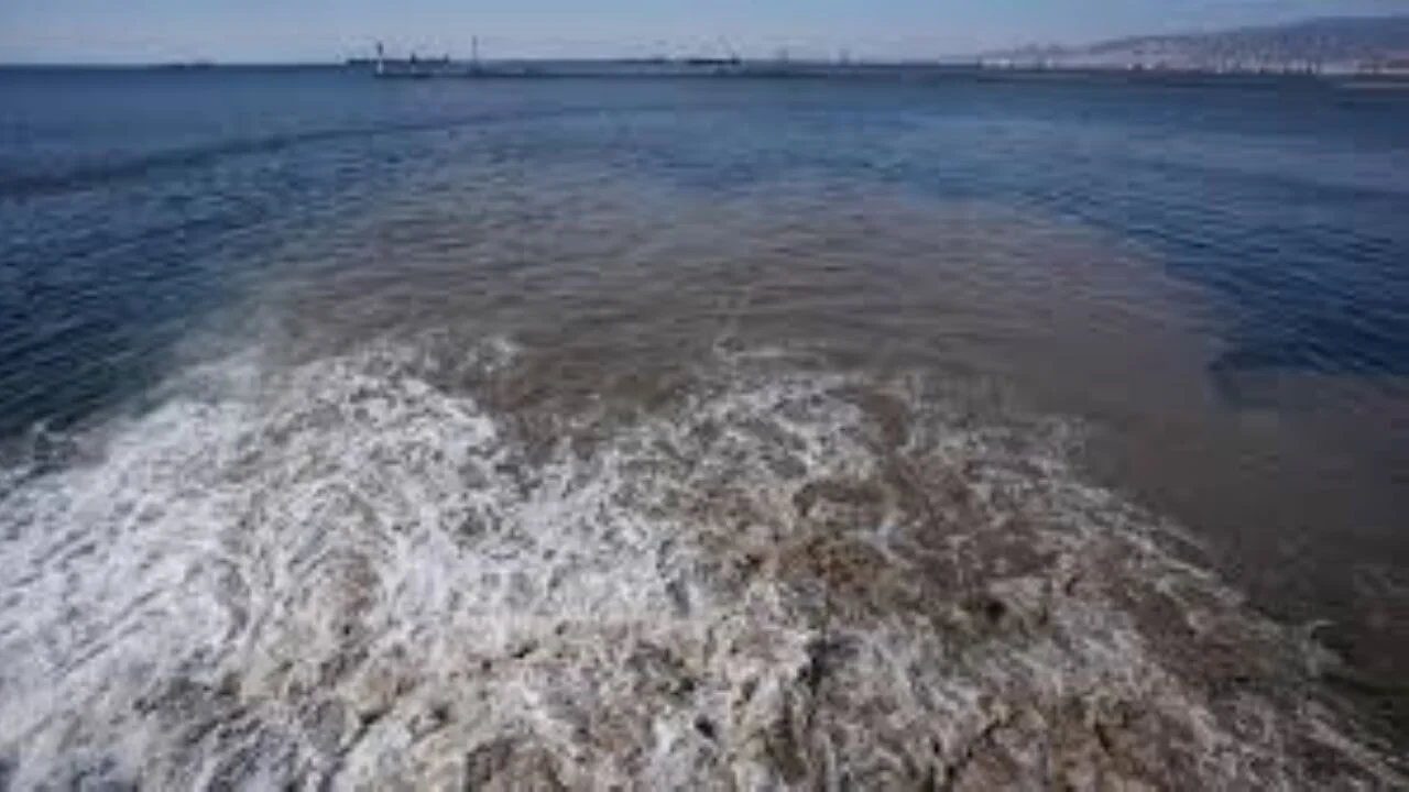 Atık suyun deşarj edildiği İzmir Körfezi'nde suyun rengi değişti
