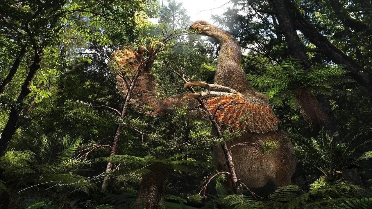 İki parmaklı pençeleri bulunan yeni bir dinozor türü keşfedildi