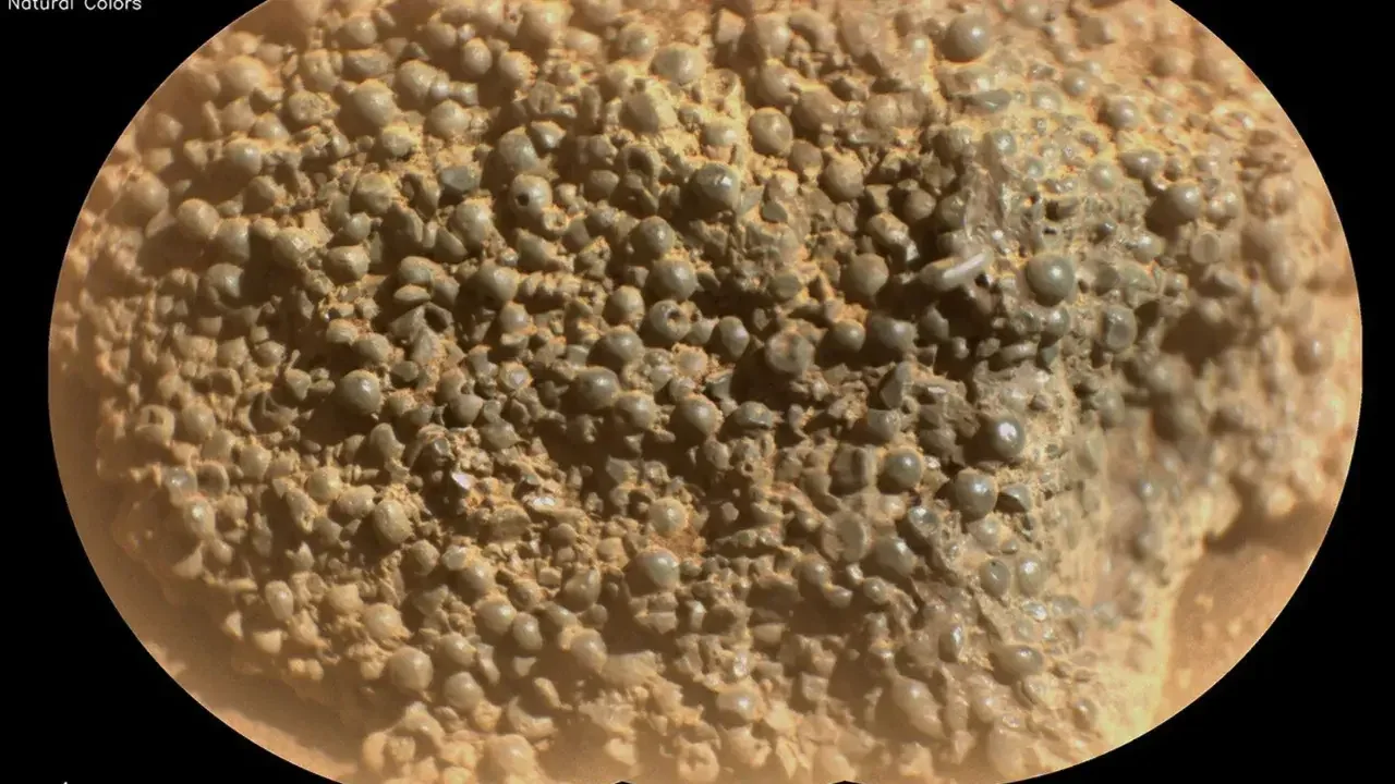 Mars'ta şaşırtan keşif: 'Örümcek yumurtaları' bulundu