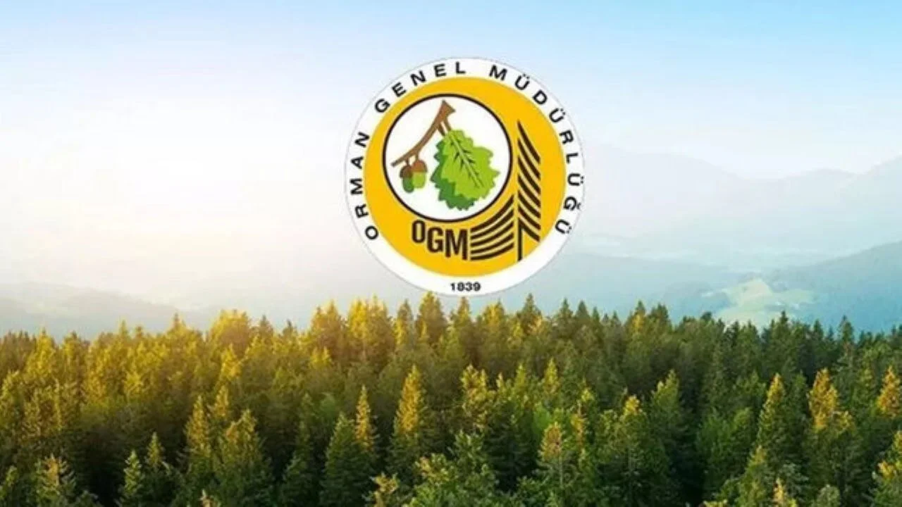 OGM 3477 destek personeli alımı! Başvuru ekranı açıldı