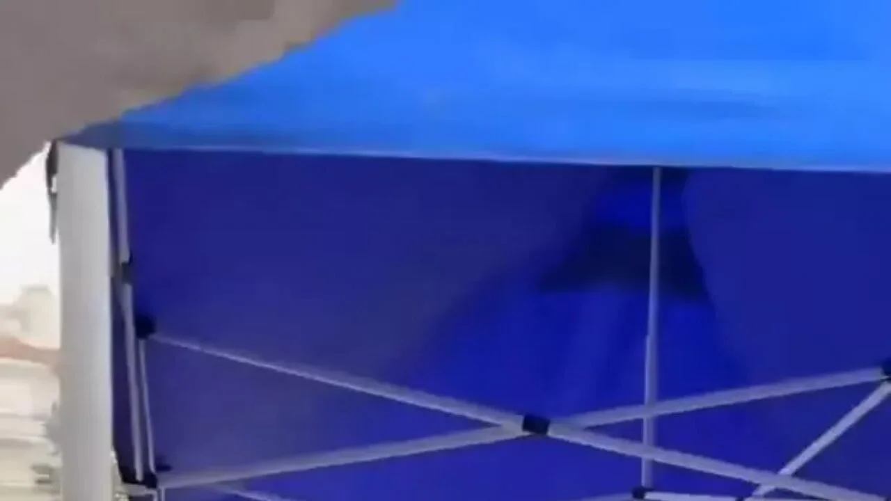 Domatesleri çöpe döken kişiye 17,2 Milyon TL'ye kadar ceza!