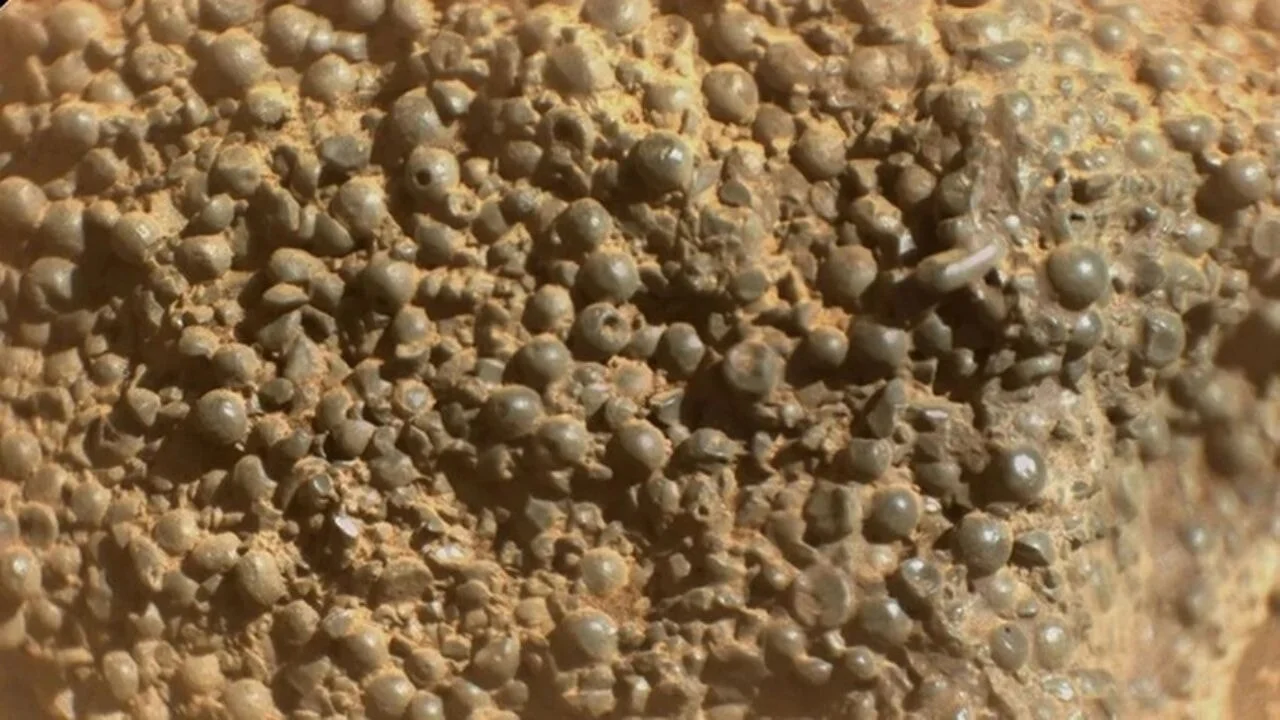 Mars'ta hiçbir oluşuma benzemeyen yeni bir kaya keşfedildi