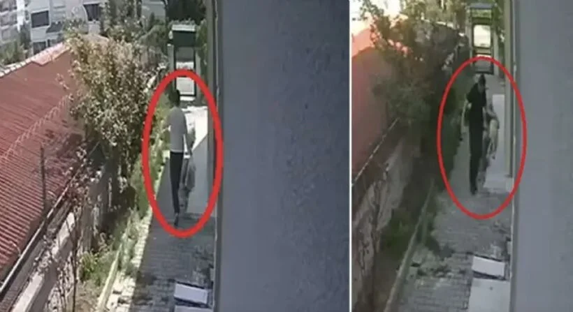 Muhammet Mustafa Duman olayı: Köpekleri evinde öldüren doktora ne oldu tutuklandı mı, ifade verdi mi?