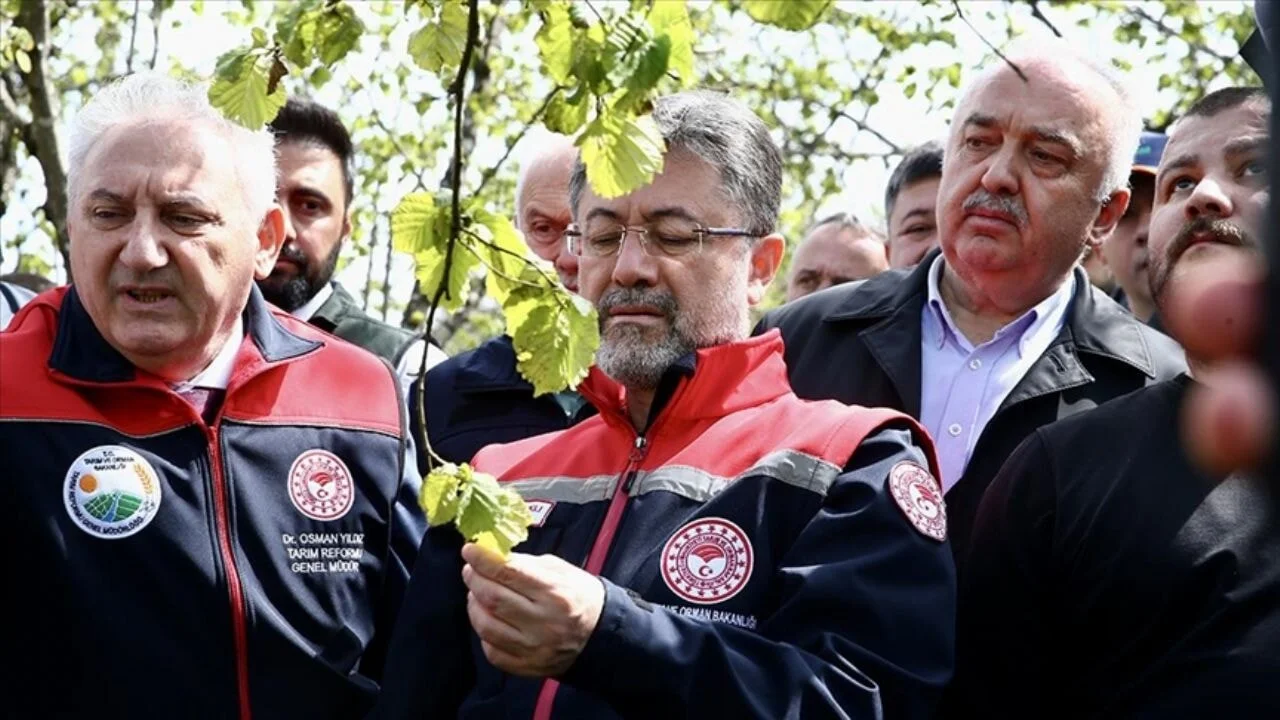 Zirai don vuran 16 meyve türü için destek açıklaması