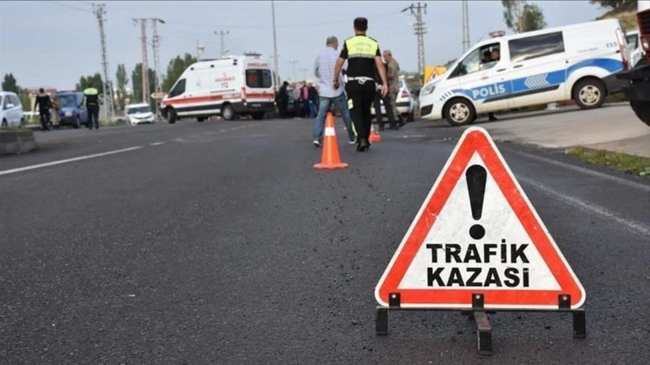 Elazığ'da feci kaza! Otomobil şarampole devrildi