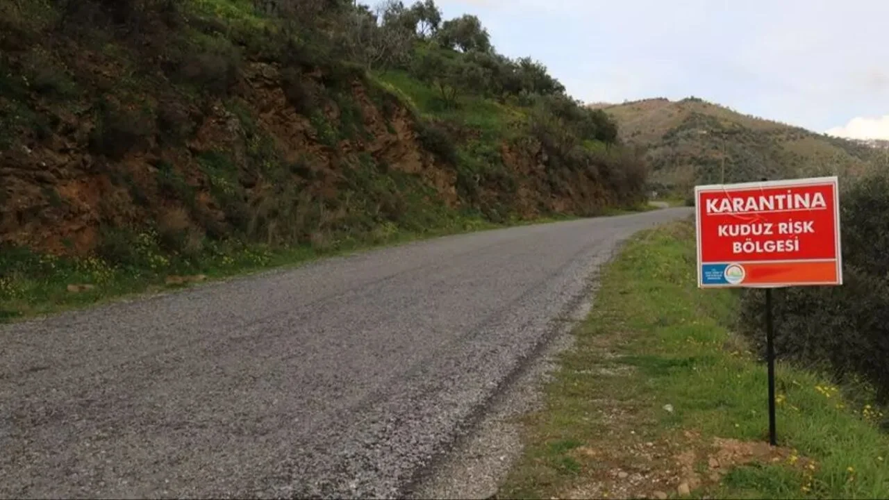 Hatay'da karantina uygulaması! Kuduz tespit edilen köpek paniğe yol açtı