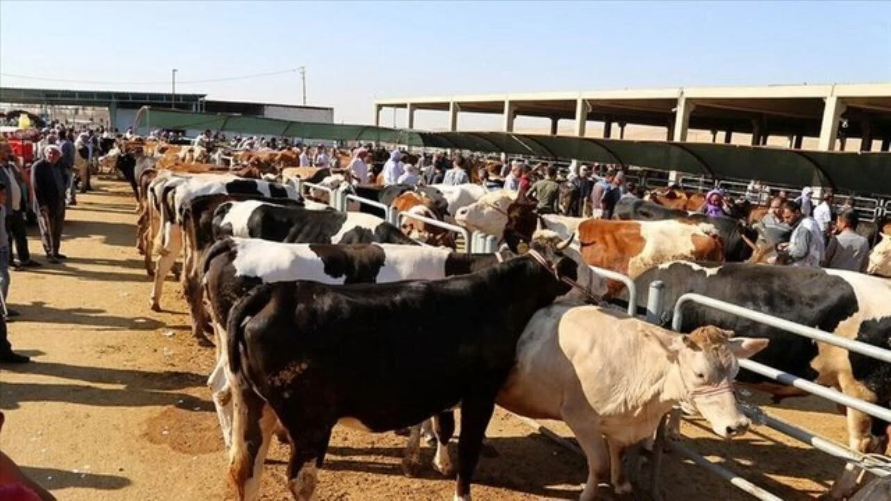 Kurban Bayramında 9 gün tatil hayali sona erdi: Resmi açıklama geldi