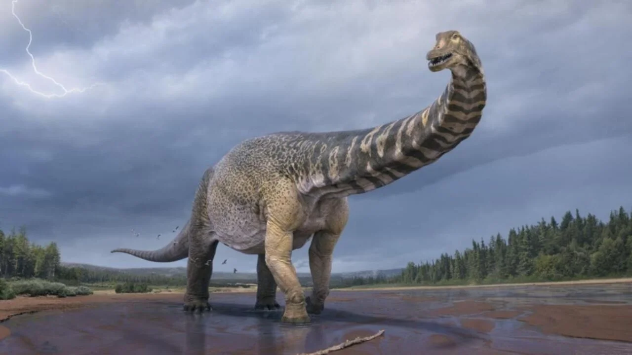 Yeni keşif: Dinozorlar kanser tedavisine yarayabilir