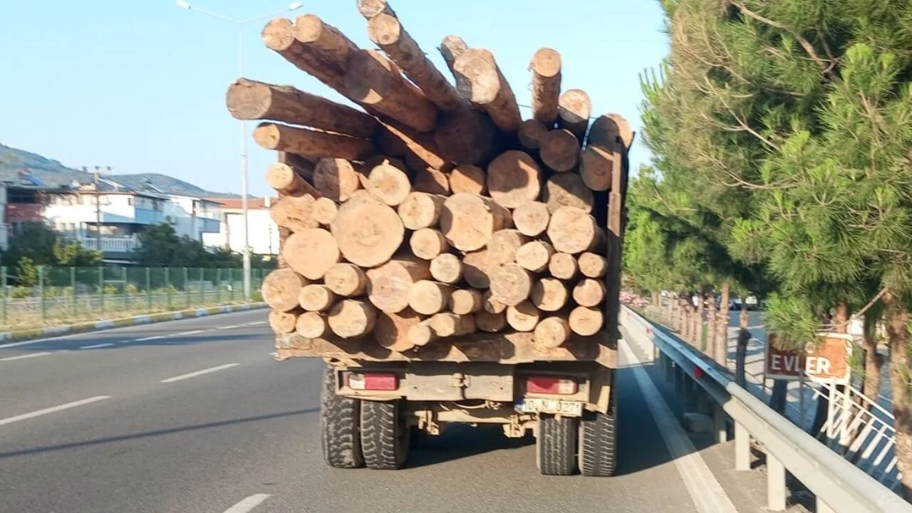 Balıkesir'de tomruk yüklü kamyona çarpan minibüste dehşet anları