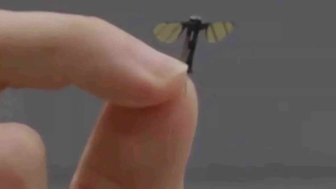 Böcek değil casus dron!