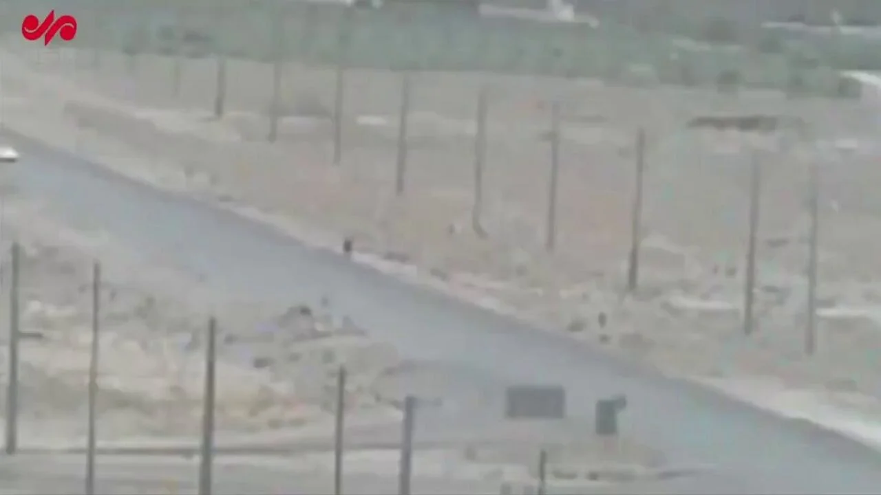 İran'da bisikletli casus alarmı! Alman asıllı şüpheli gözaltında