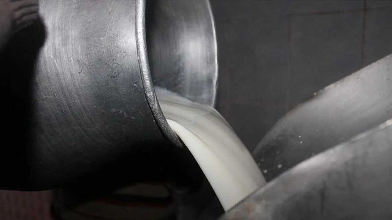 2025 çiğ süt fiyatı kaç TL oldu, litre fiyatı ne kadar zamlandı? Yeni fiyat üreticiye ne kazandıracak? Fiyat artışı kalıcı mı?