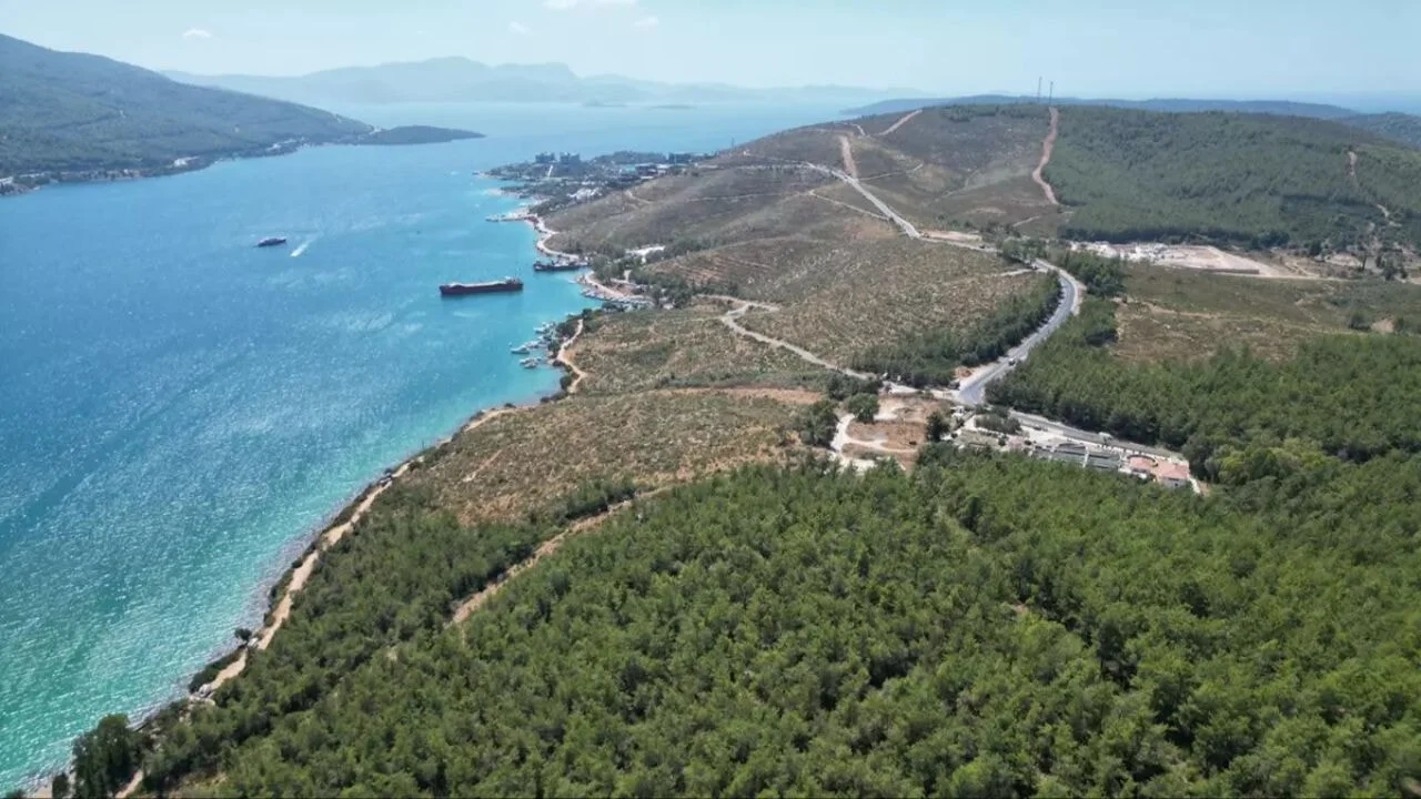 Muğla Orman Müdürlüğü 94 hektarı tekrar canlandırdı