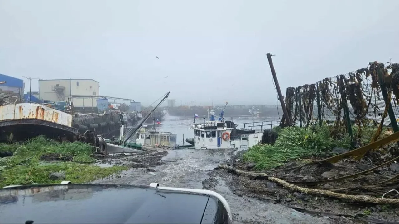 Kamçatka'daki 8,8'lik deprem dünyayı sarstı