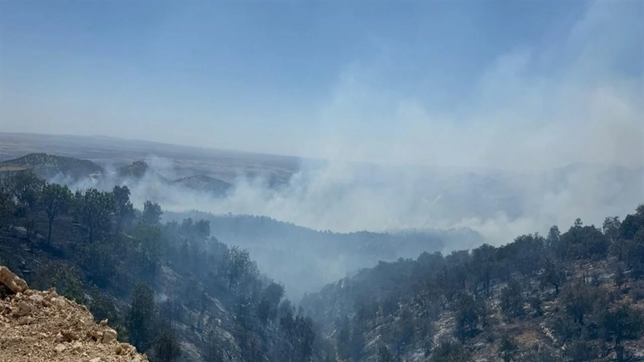 Gabar Dağı'ndaki petrol kuyularına yakın ormanda yangın