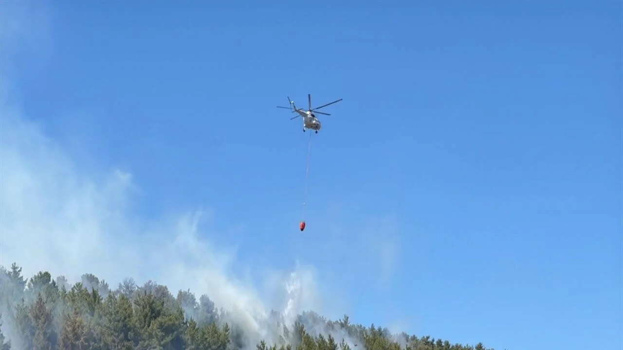 Muğla'da orman yangını