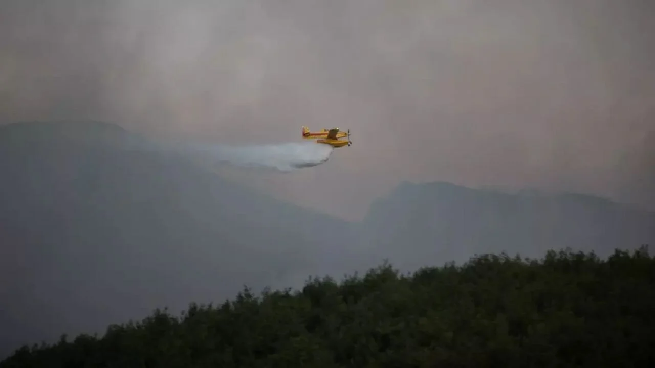 Sakarya ve Bilecik'teki orman yangınına 12 helikopter ve 6 uçakla müdahale