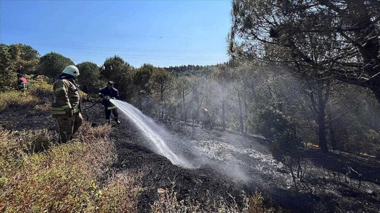 Sultangazi'de ormanlık alanda çıkan yangının söndürülmesine çalışılıyor