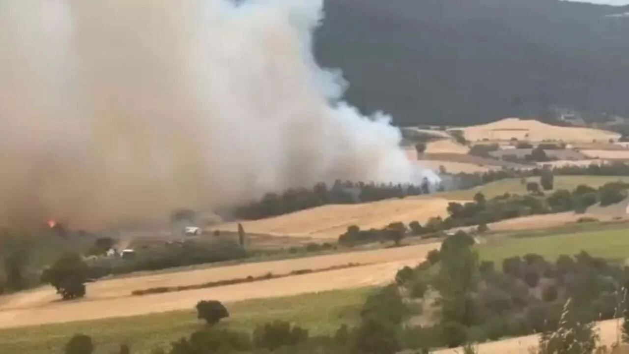 Yenişehir'de orman yangını! Ekipler yangını kontrol altına almaya çalışıyor