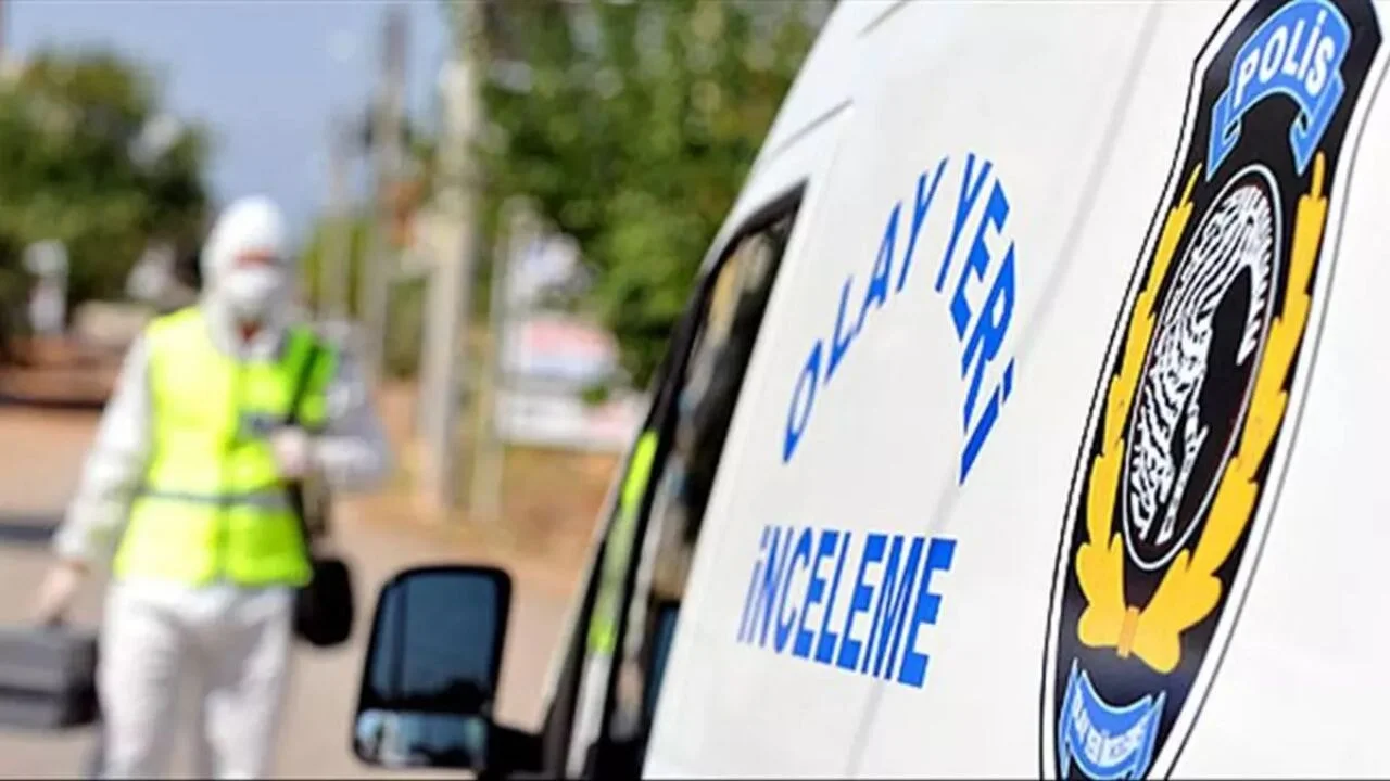 Trabzon'da fındık hasadı faciayla bitti! Karı koca yaşamını yitirdi