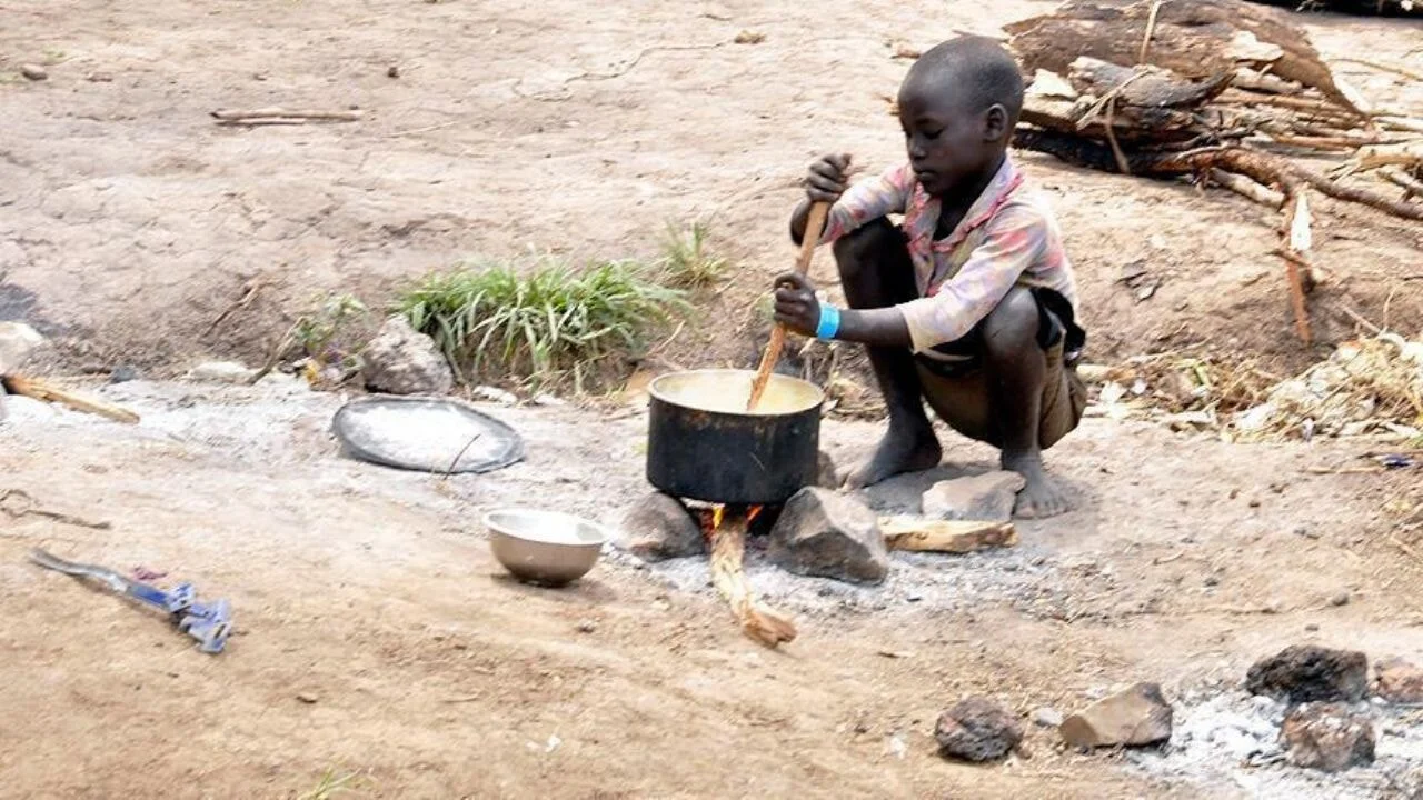 ANALİZ: İnsanlık Afrika'da başladı