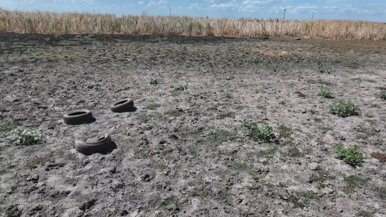 Edirne'de göletler kuruyor, Tunca Nehri'nin akışı durdu
