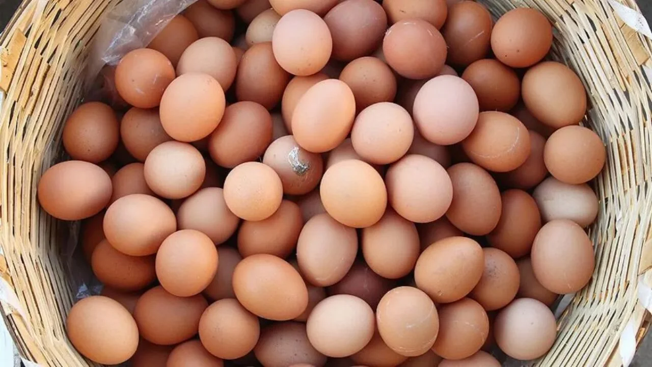 Tarım Bakanlığı'ndan gıdada en çok merak edilenler
