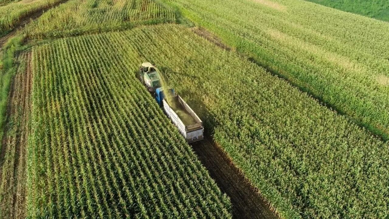 Çiftçilere 349 Milyon Lira Destekleme Ödemesi Bugün Hesaplarda
