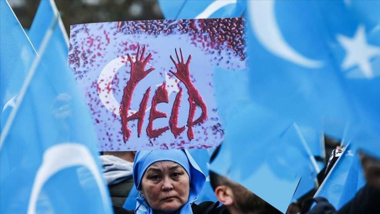 Filozof Kirpi'nin lafı net: 'İç yurt kuran devlet, yuvayı kışlaya çevirir; kışlada sevgi değil, itaat büyür.'
