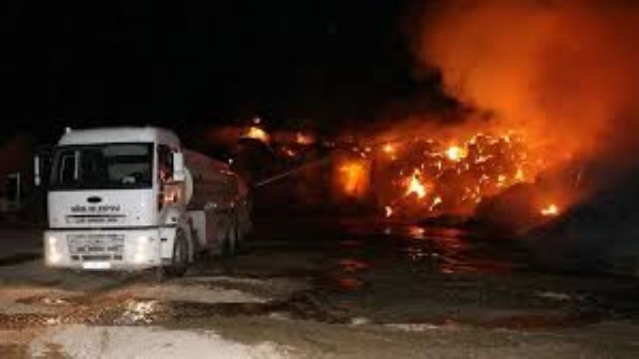 Niğde'de korkunç yangın! Ahırındaki 170 koyun telef oldu