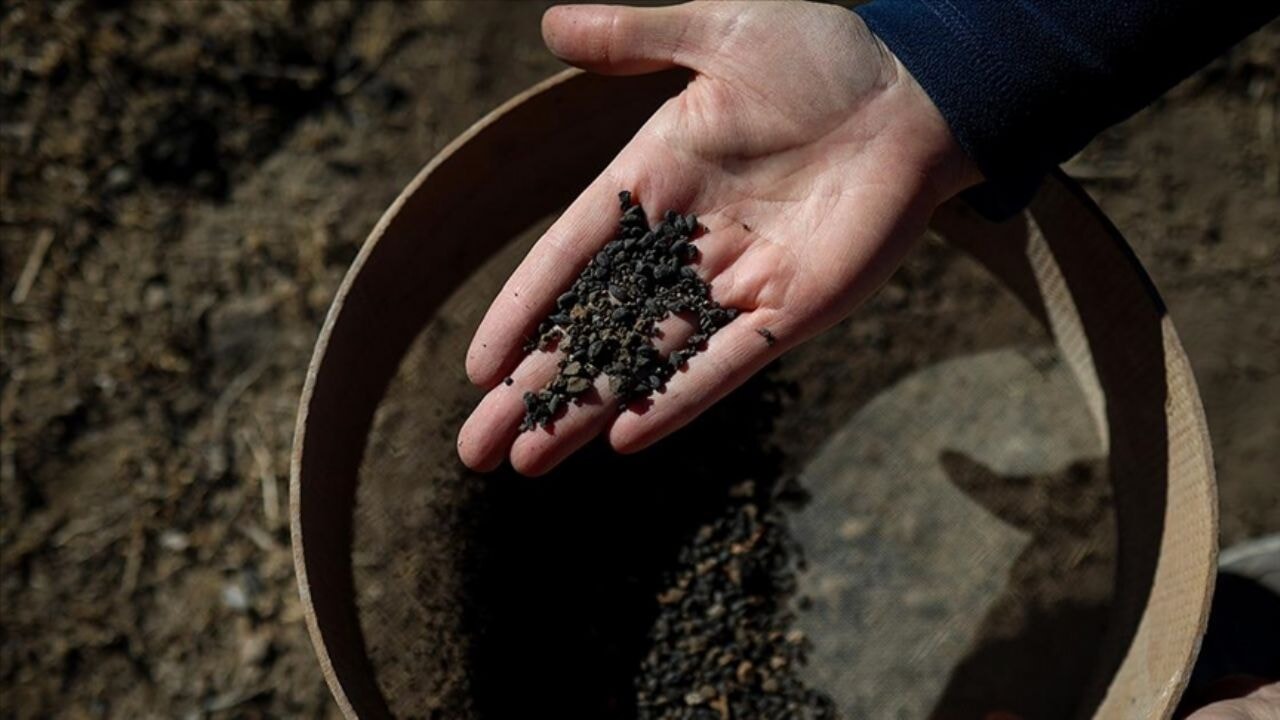 5 bin yıllık arpa taneleri bulundu