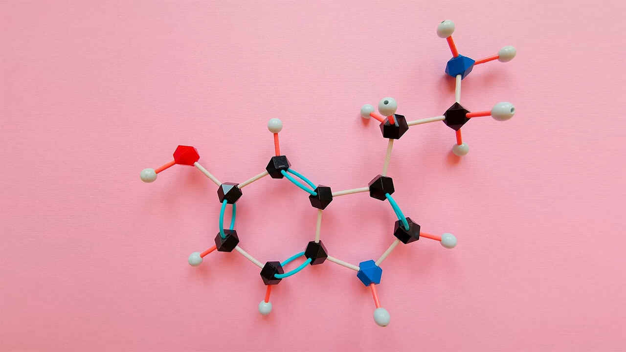 Kanser tedavisinin anahtarı: Serotonin