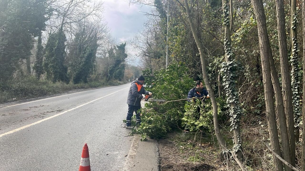 İstanbul için lodos uyarısı; çok sayıda ağaç devrildi