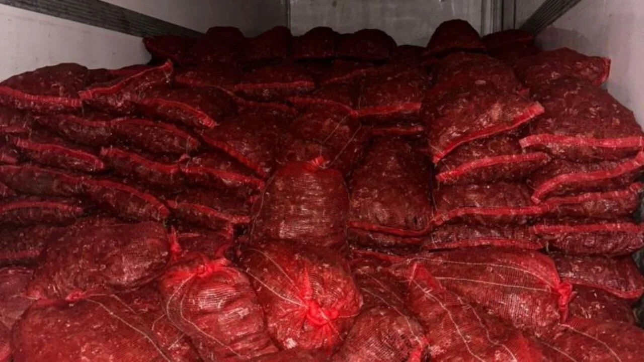 10 ton kaçak midye ele geçirildi