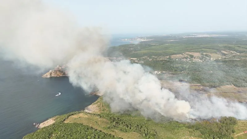 Beykoz Kılıçlı Mahallesi'nde bulunan ormanlık alanda yangın çıktı