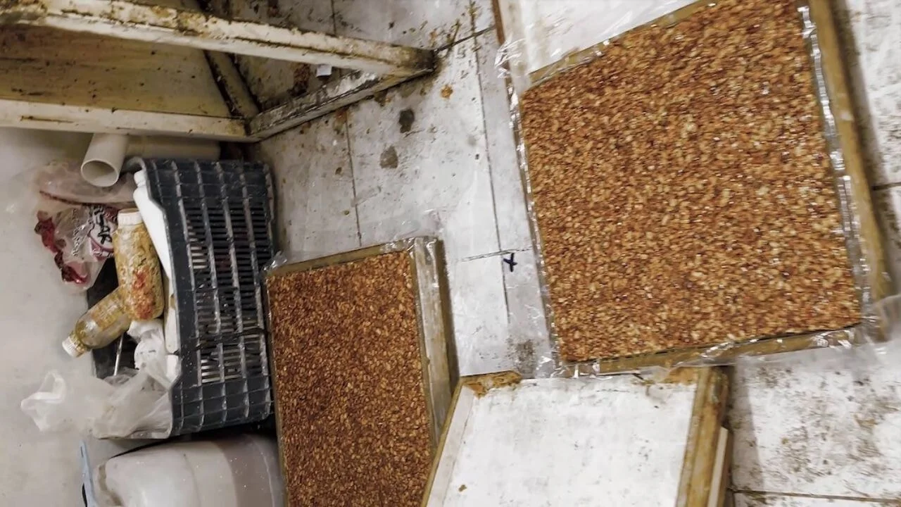 Mide bulandıran imalathane