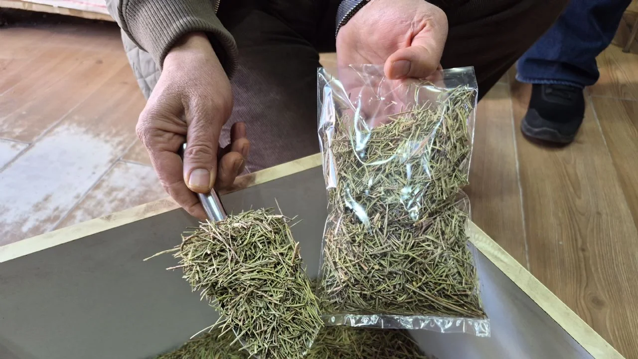 Öğrencilere dikkat dağınıklığı için bitkisel ürün tavsiyesi