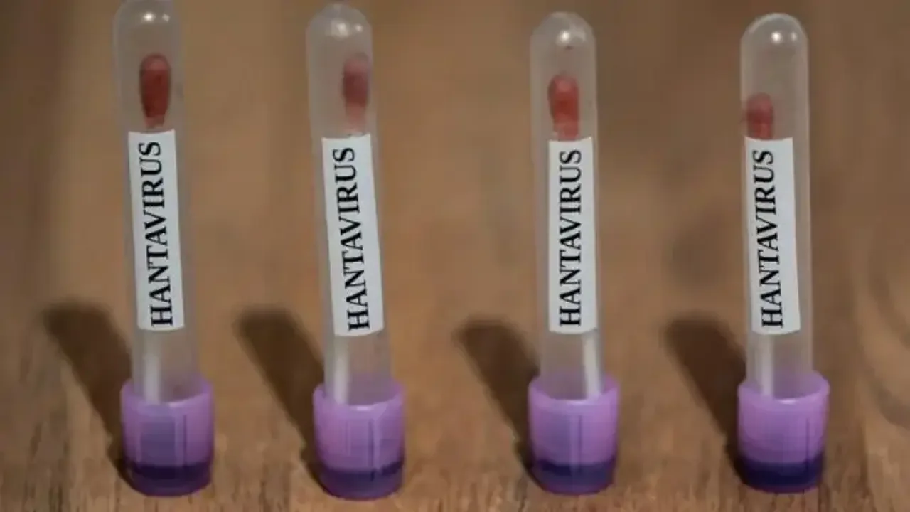 Yeni pandemi mi geliyor? Bakanlıktan 'hantavirüs' açıklaması