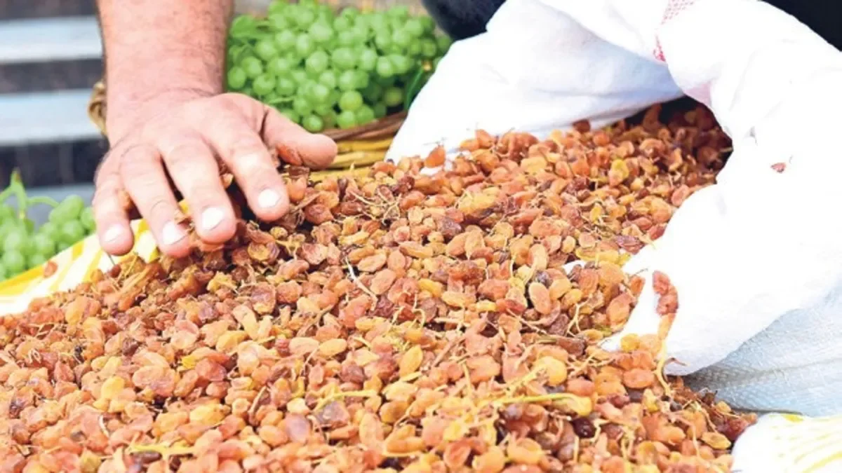 Manisalı üreticiler zorda! Kuru üzüm fiyatı en az 180 tl olmalı