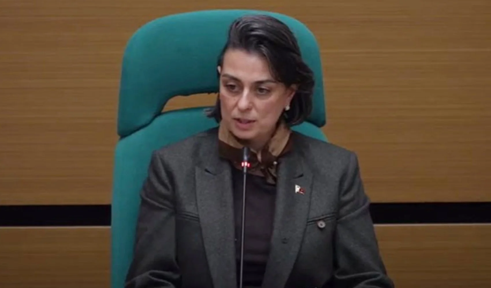 sinem-dedetas-alevi-mi-aslen-nereli.webp