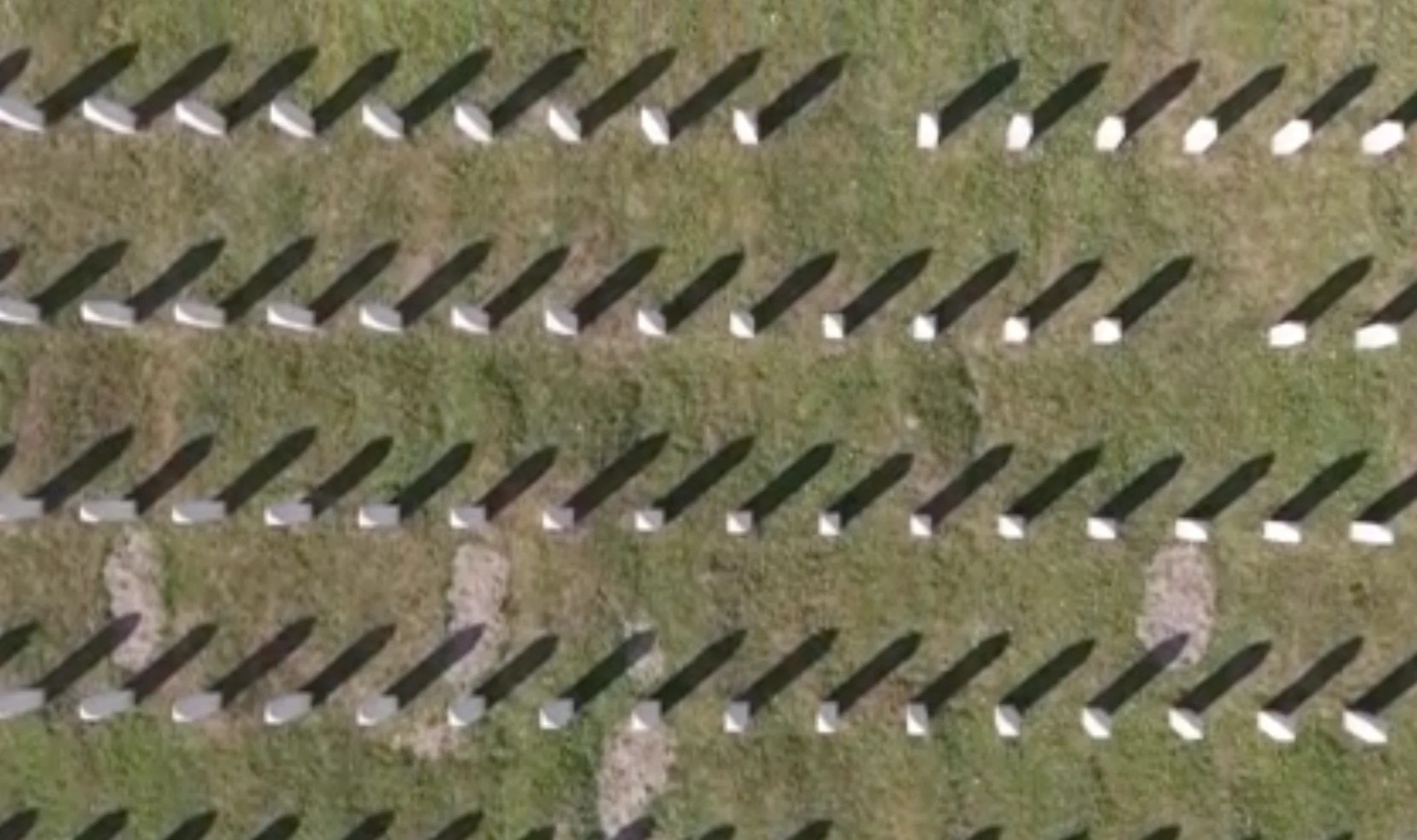 Srebrenitsa soykırımı (31. yıl): Bugün 10 şehit daha toprağa verildi