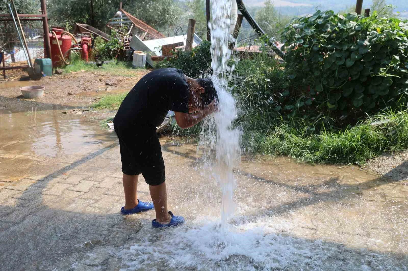 Adana'da sıcaklık 42 derece! Sıcaktan bunalan koyunlara ilginç çözüm